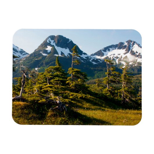 Monte Eccles bei Cordova, Alaska Magnet (Horizontal)