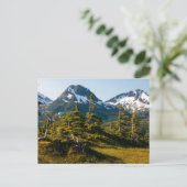 Monte Eccles bei Cordova, Alaska Postkarte (Stehend Vorderseite)