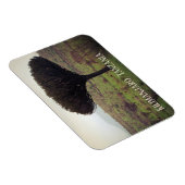 Monte Kilimanjaro, Candelabra Tree Magnet (Rechte Seite)