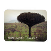 Monte Kilimanjaro, Candelabra Tree Magnet (Horizontal)