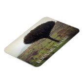 Monte Kilimanjaro, Candelabra Tree Magnet (Linke Seite)