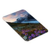 Monte Rosa Glacier | Schweiz Magnet (Rechte Seite)