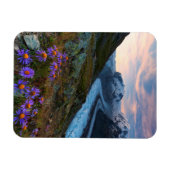 Monte Rosa Glacier | Schweiz Magnet (Horizontal)