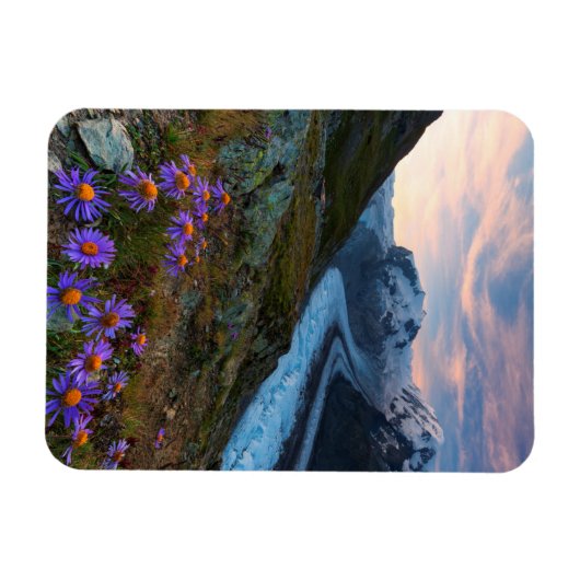 Monte Rosa Glacier | Schweiz Magnet (Horizontal)