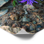 Monte Rosa Glacier | Schweiz Poster (Ecke)