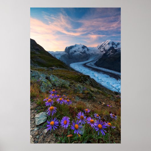 Monte Rosa Glacier | Schweiz Poster (Vorne)