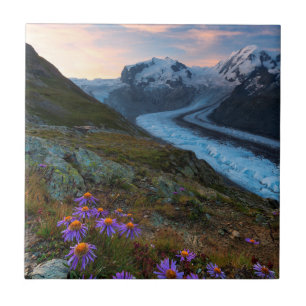 Monte Rosa Gletscher   die Schweiz Fliese