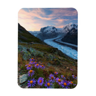 Monte Rosa Gletscher   die Schweiz Magnet