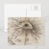 Monte Vesuve Postkarte (Vorne/Hinten)