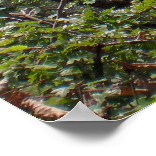 Montecatini Terme Poster (Ecke)