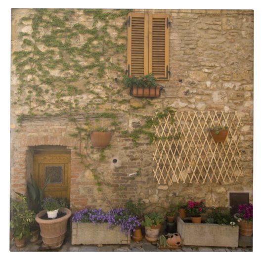 Montefollonico, Val d'Orcia, Provinz Siena, Fliese (Vorderseite)