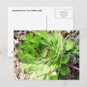 Montepulciano Vino Nobile, Italien Postkarte (Vorne/Hinten)