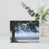 Monterey Bay, Ca. Postcard Postkarte (Stehend Vorderseite)