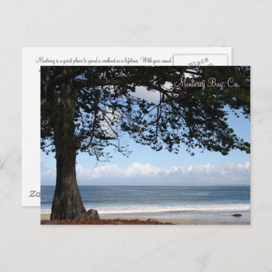 Monterey Bay, Ca. Postcard Postkarte (Vorne/Hinten)