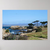 Monterey Bay Coastline, Spring Foto Poster (Vorne)