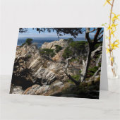 MONTEREY BAY Jumbo Grußkarte Karte (Gelbe Blume)