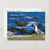 Monterey Bay, Kalifornien Postcard Postkarte (Vorne/Hinten)