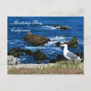 Monterey Bay, Kalifornien Postcard Postkarte