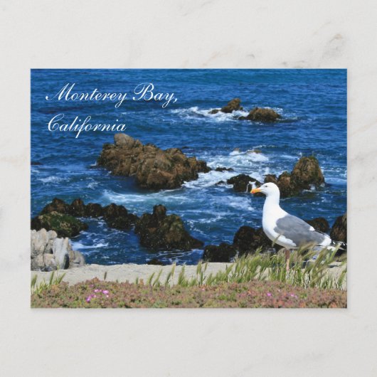 Monterey Bay, Kalifornien Postcard Postkarte (Vorderseite)