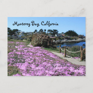 Monterey Bay, Kalifornien Postcard Postkarte
