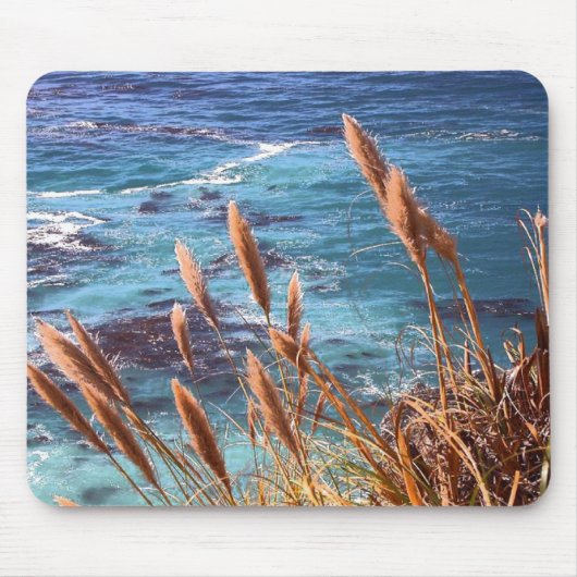 Monterey Bay Mouse Pad Mousepad (Vorne)