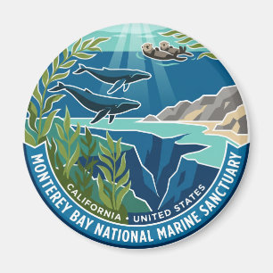 Monterey Bay National Marine Sanctuary Kalifornien Magnet