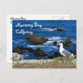 Monterey Bay, Postcard Postkarte (Vorne/Hinten)