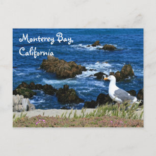 Monterey Bay, Postcard Postkarte