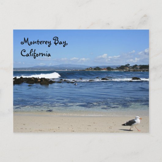 Monterey Bay, Postcard Postkarte (Vorderseite)