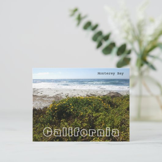 Monterey Bay Postkarte (Stehend Vorderseite)