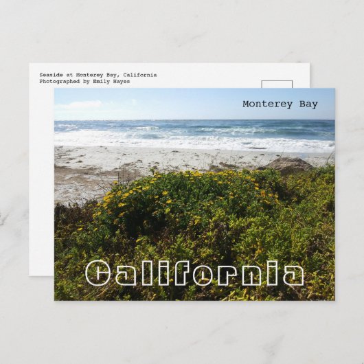 Monterey Bay Postkarte (Vorne/Hinten)