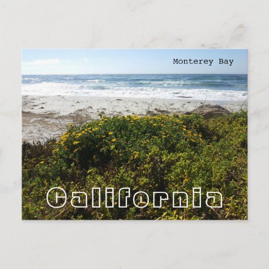Monterey Bay Postkarte (Vorderseite)