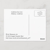 Monterey Bay - Sea Lions Postkarte (Rückseite)