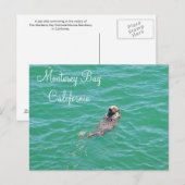 Monterey Bay Sea Otter Postkarte (Vorne/Hinten)