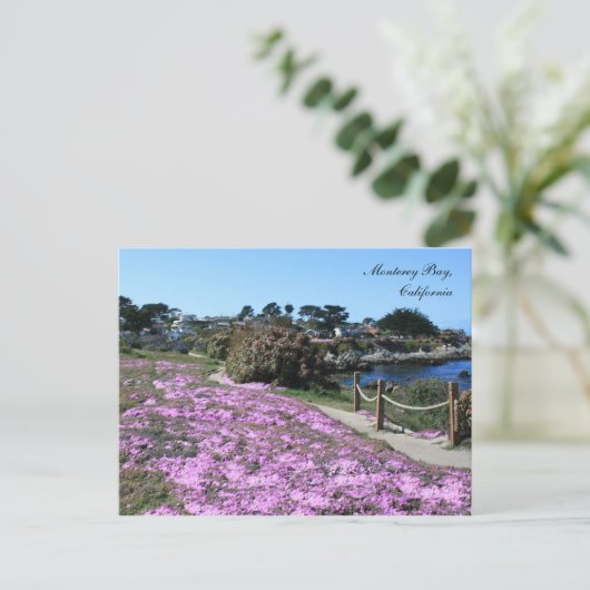 Monterey Bay, Spring Postcard Postkarte (Stehend Vorderseite)