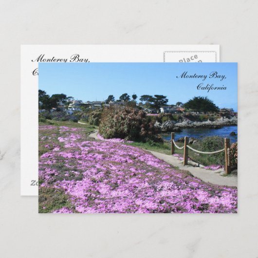 Monterey Bay, Spring Postcard Postkarte (Vorne/Hinten)
