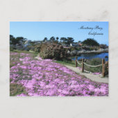 Monterey Bay, Spring Postcard Postkarte (Vorderseite)
