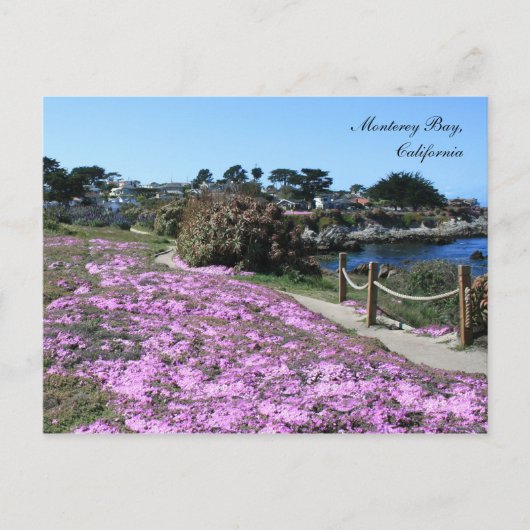 Monterey Bay, Spring Postcard Postkarte (Vorderseite)