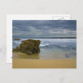 Monterey Beach Postkarte (Vorne/Hinten)