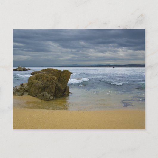 Monterey Beach Postkarte (Vorderseite)