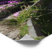 Monterey Beach Trail, Spring Foto Poster (Ecke)