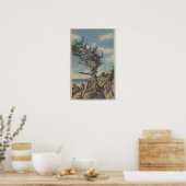 Monterey, CA - Alte Hexenbaum auf 17 Mile Poster (Küche)