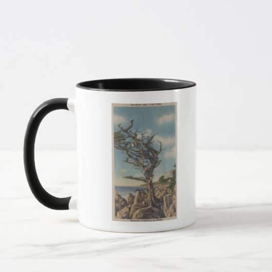 Monterey, CA - Alte Hexenbaum auf 17 Mile Tasse (Links)
