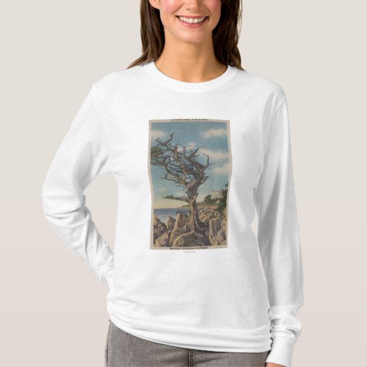 Monterey, CA - alter Hexe-Baum auf 17 Meile T-Shirt (Vorderseite)