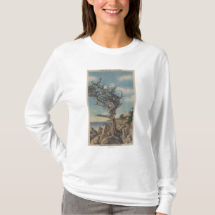 Monterey, CA - alter Hexe-Baum auf 17 Meile T-Shirt
