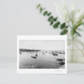 Monterey, CA - Bucht mit Hunderten von Holzbooten Postkarte (Stehend Vorderseite)