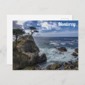 Monterey California Pebble Beach Cypress Tree Postkarte (Vorne/Hinten)