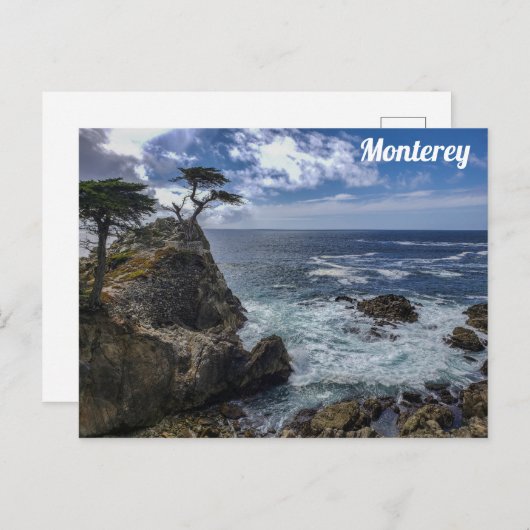 Monterey California Pebble Beach Cypress Tree Postkarte (Vorne/Hinten)