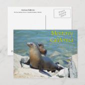 Monterey California Postcard Postkarte (Vorne/Hinten)