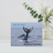 Monterey California Whale Schwanz Postcard Postkarte (Stehend Vorderseite)